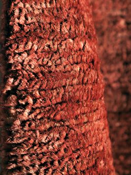 CaminoCanamoLacre85x3451