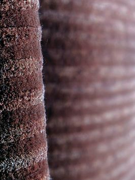 Alfombra-lisa-marron-TIBETANA-CITERIO-RAYAS-LACRE-200X294-Mihran-1