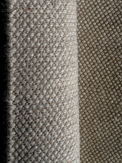 CHANDRA-PANAL-CAMEL-CINKE-0