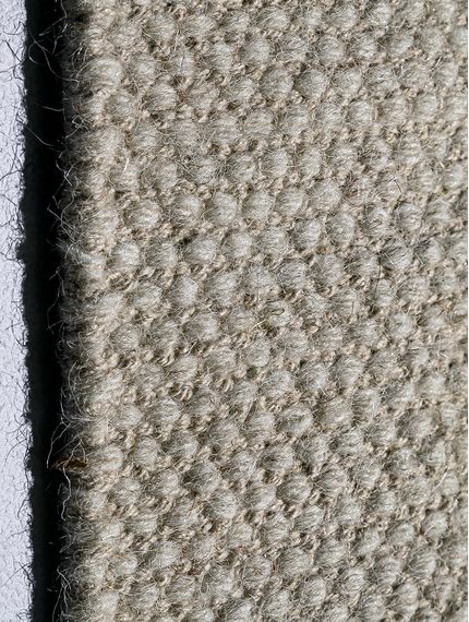 CHANDRA-PANAL-CAMEL-CINKE-1