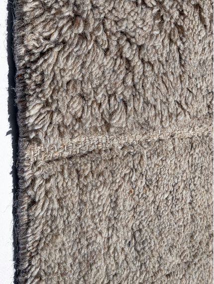 TAMRI-ASH-170X240-SIRI-4